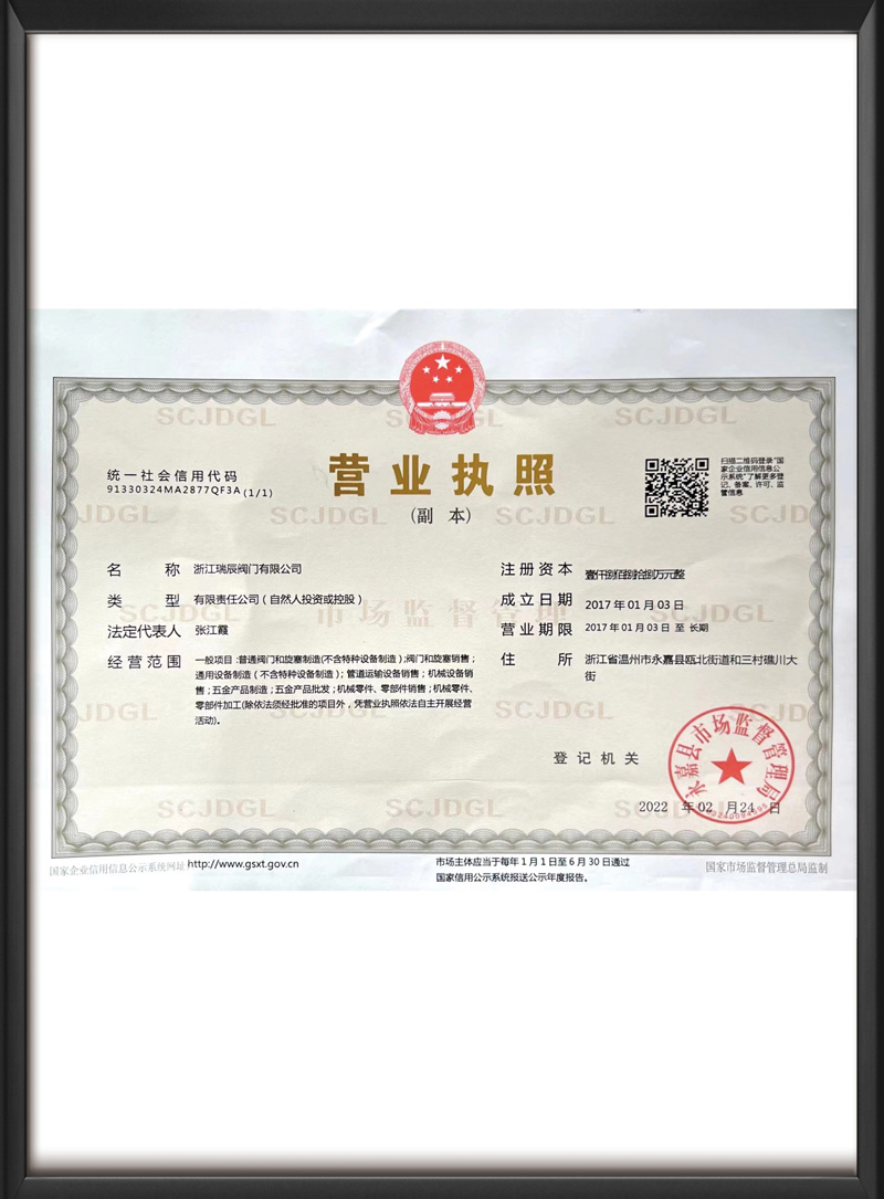 浙江瑞辰阀门营业执照